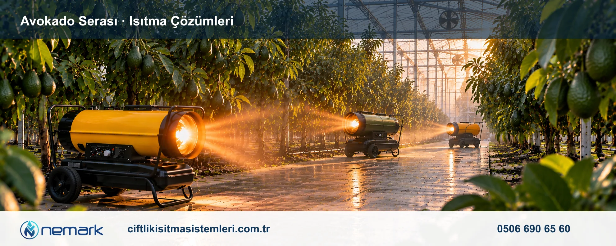 Avokado Serası için Nemark ısıtma çözümleri