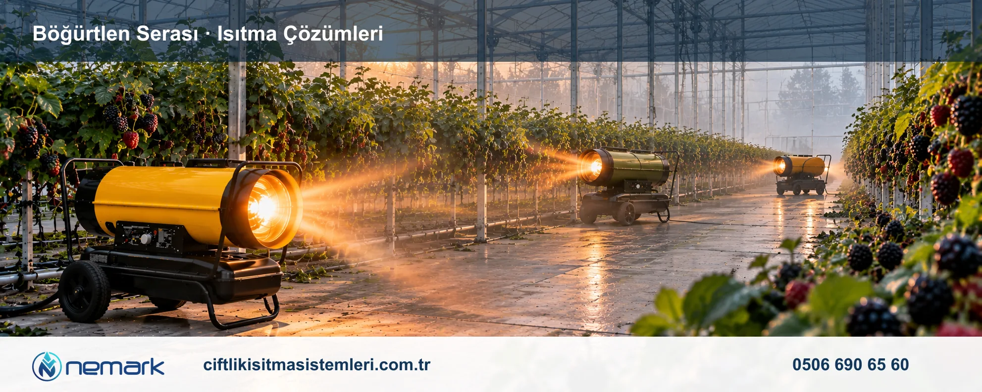 Böğürtlen Serası için Nemark ısıtma çözümleri