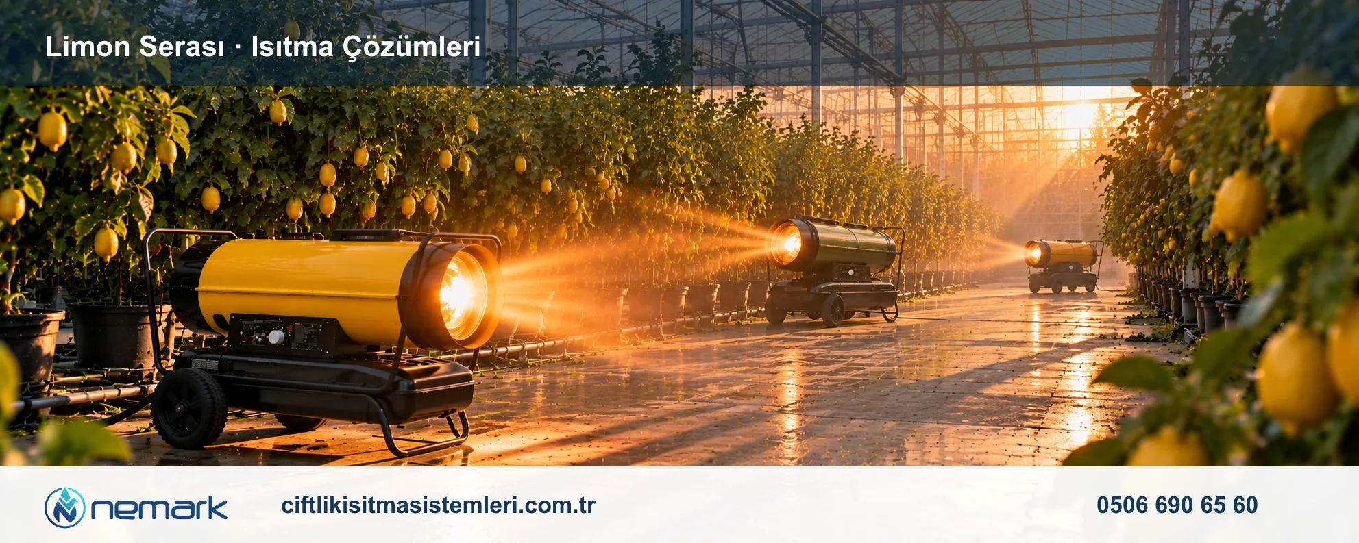 Limon Serası için Nemark ısıtma çözümleri