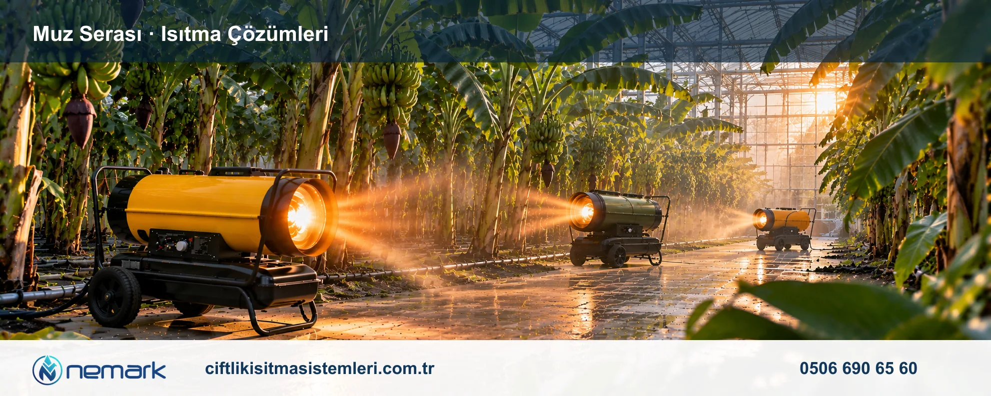Muz Serası için Nemark ısıtma çözümleri