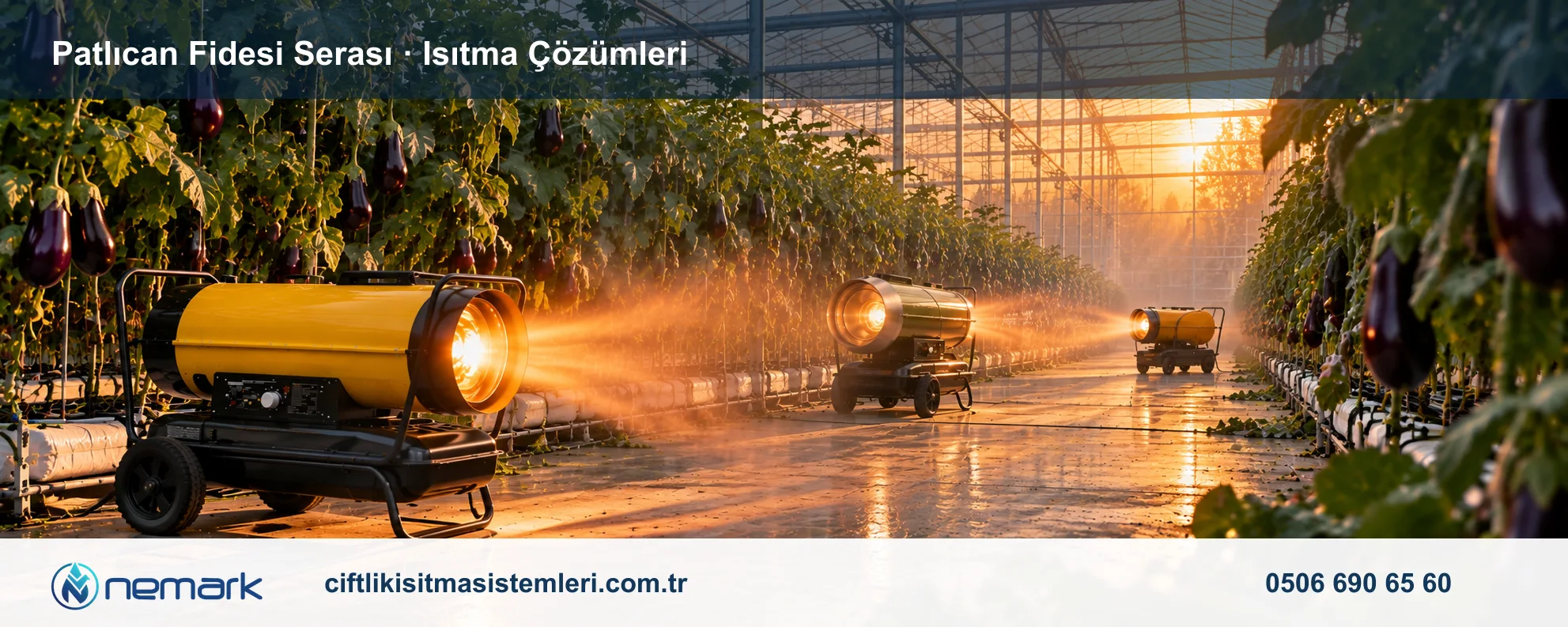 Patlıcan Fidesi Serası için Nemark ısıtma çözümleri