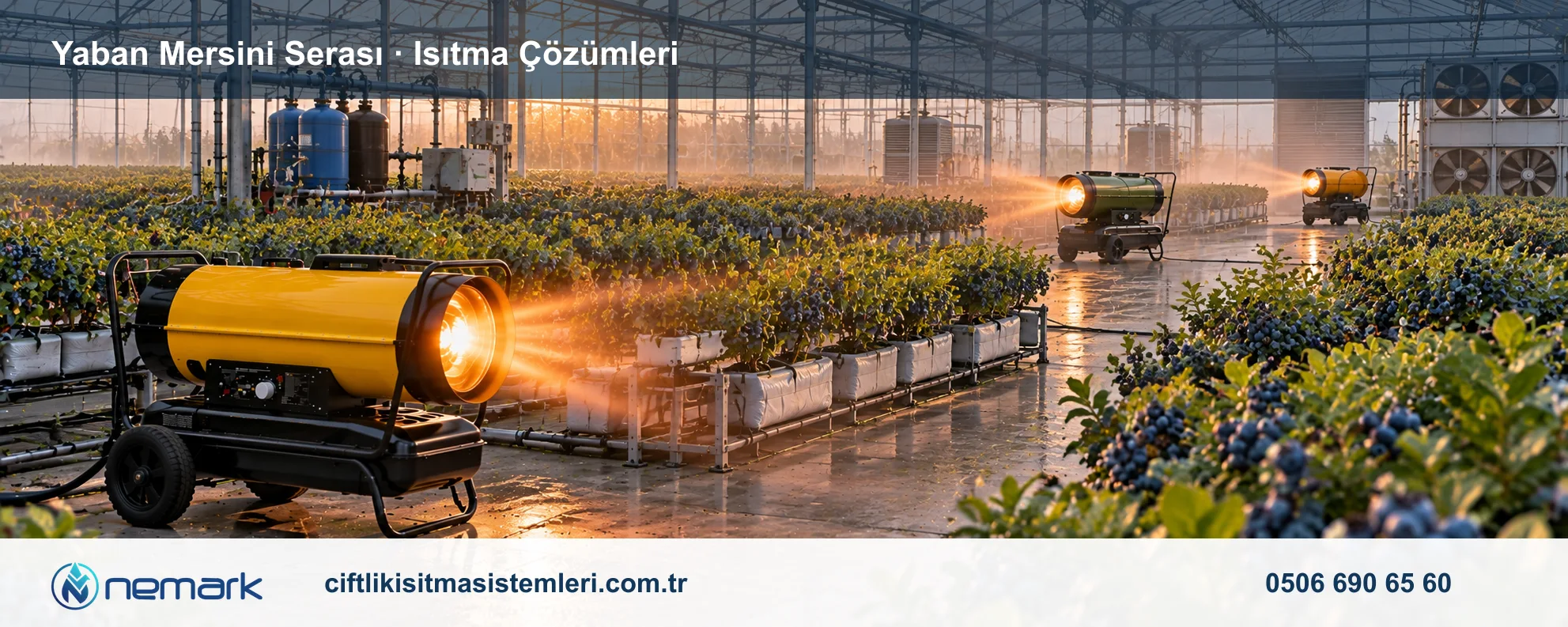 Yaban Mersini Serası için Nemark ısıtma çözümleri